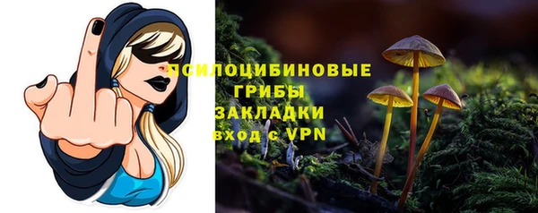 мяу мяу мука Волоколамск